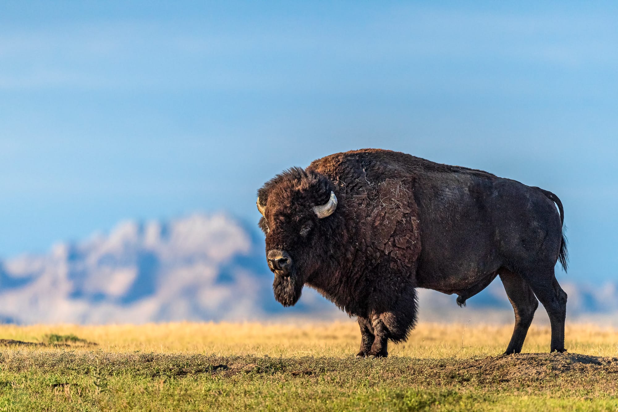 Badlands National Park in South Dakota.