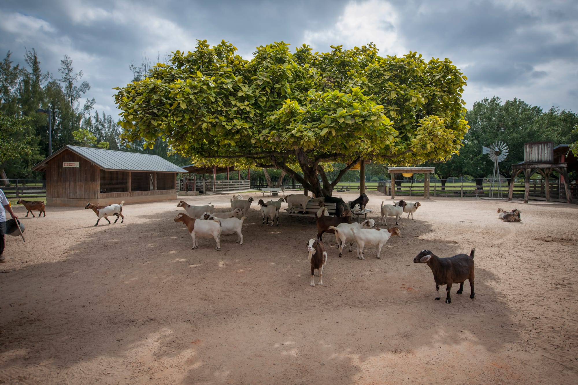 Billy Graham Farm Village