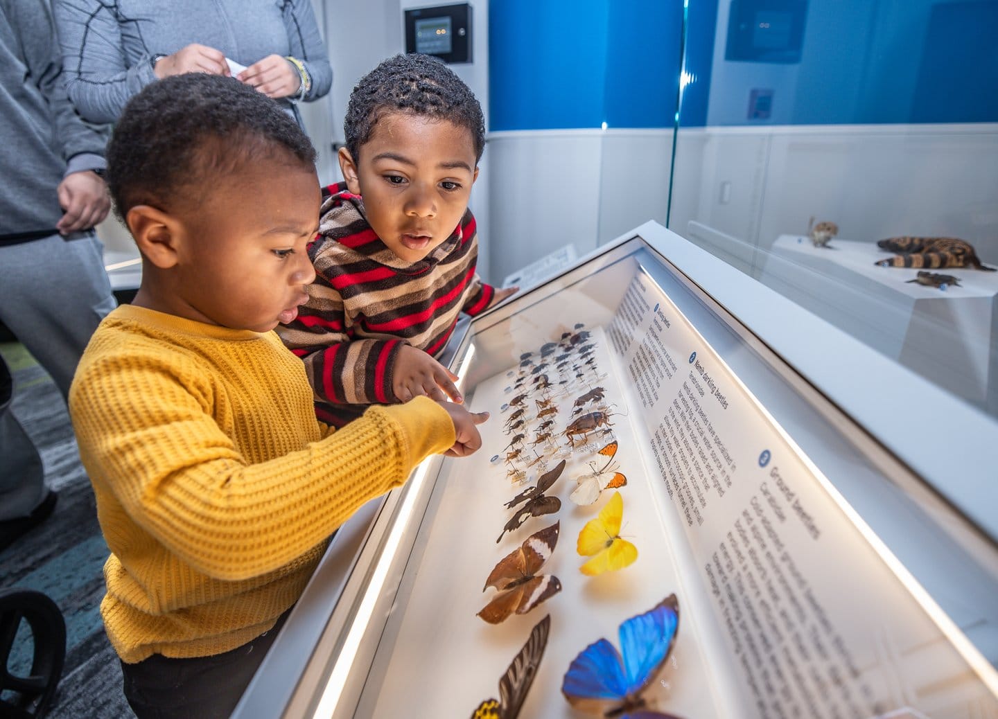 Cleveland Museum of Natural History