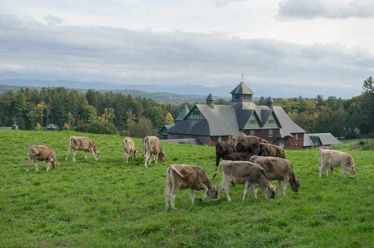 Culturing a Sustainable Future at Shelburne Farms