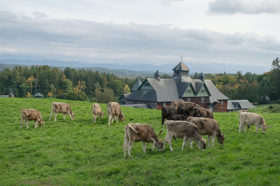 Culturing a Sustainable Future at Shelburne Farms